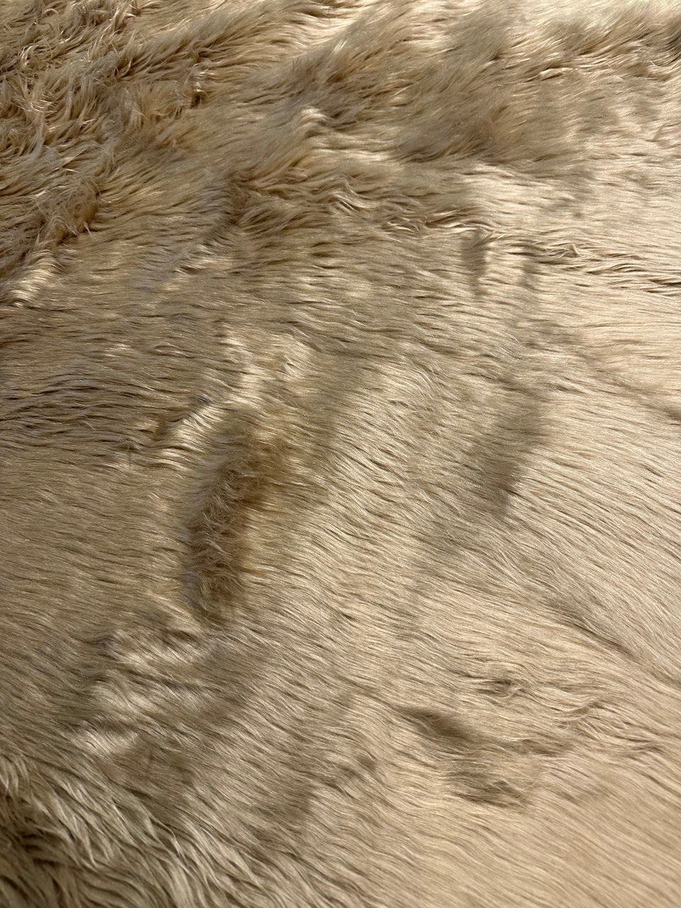Sandy Shaggy Fur