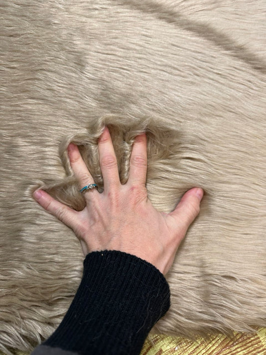 Sandy Shaggy Fur